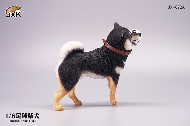 Frisbee Shiba Inu and Football 1/6