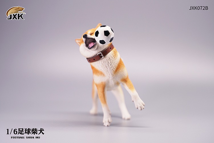 Frisbee Shiba Inu and Football 1/6