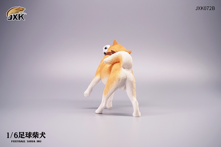 Frisbee Shiba Inu and Football 1/6