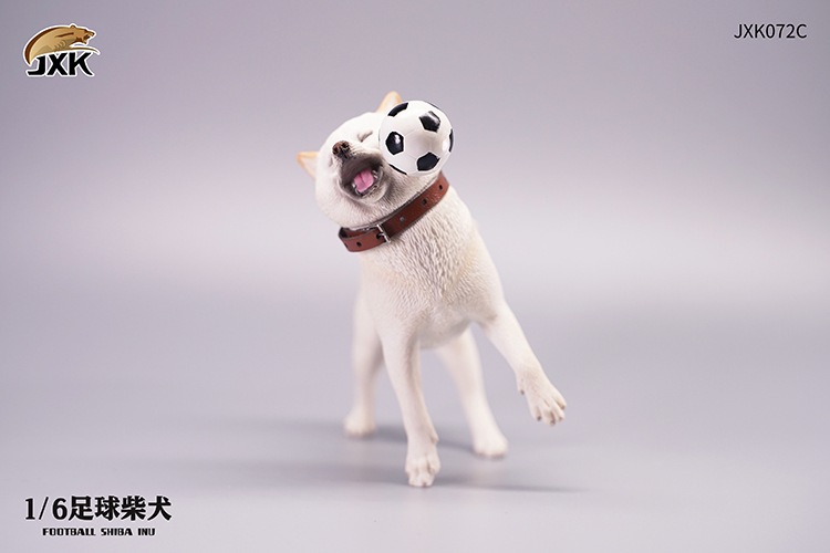 Frisbee Shiba Inu and Football 1/6