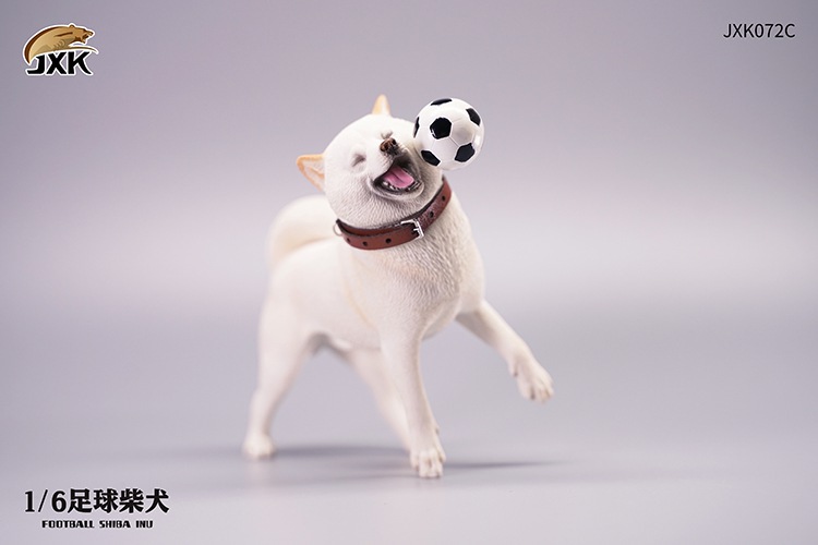 Frisbee Shiba Inu and Football 1/6