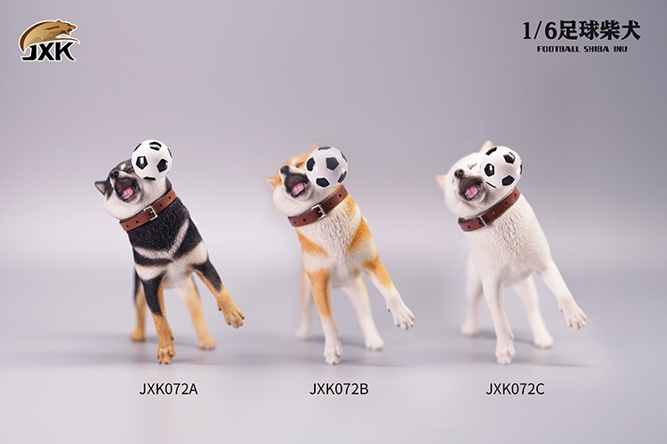 Frisbee Shiba Inu and Football 1/6