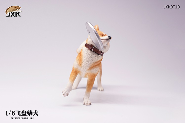 Frisbee Shiba Inu and Football 1/6