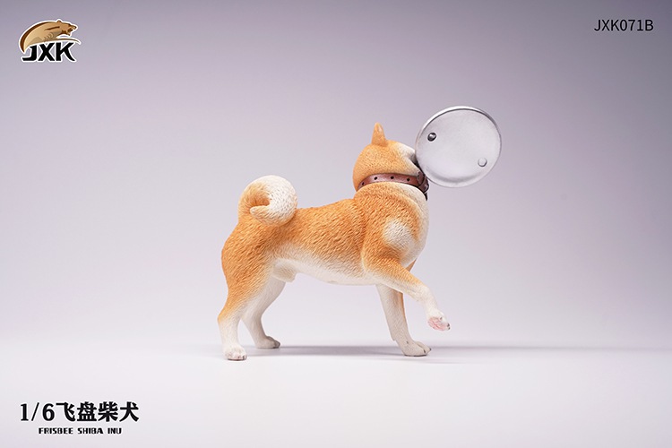 Frisbee Shiba Inu and Football 1/6