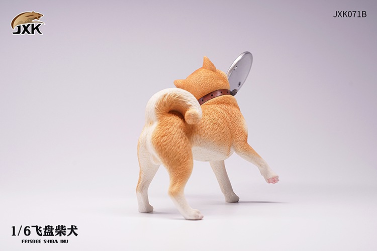 Frisbee Shiba Inu and Football 1/6