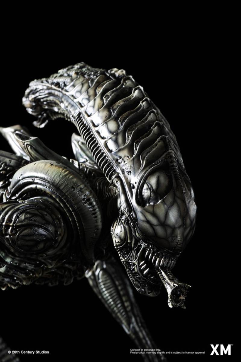 Alien Hive-Warrior - Black Variant