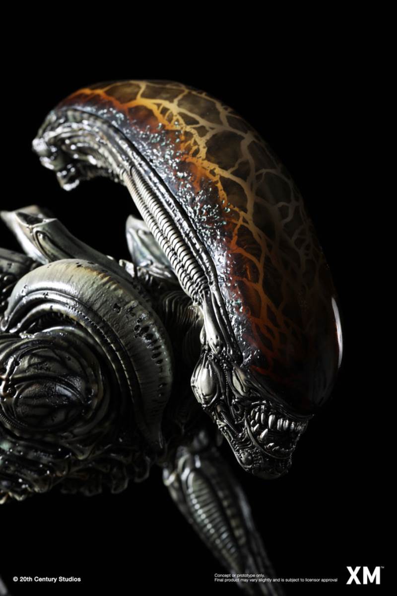 Alien Hive-Warrior - Black Variant