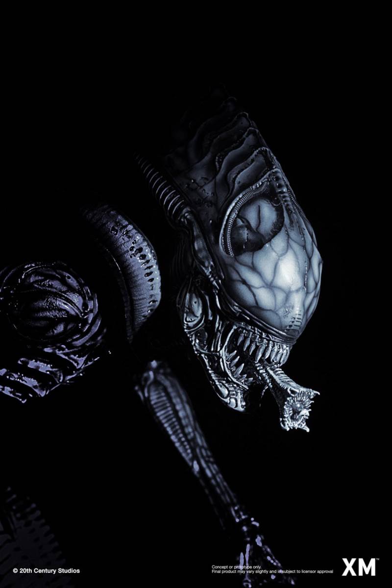 Alien Hive-Warrior - Black Variant