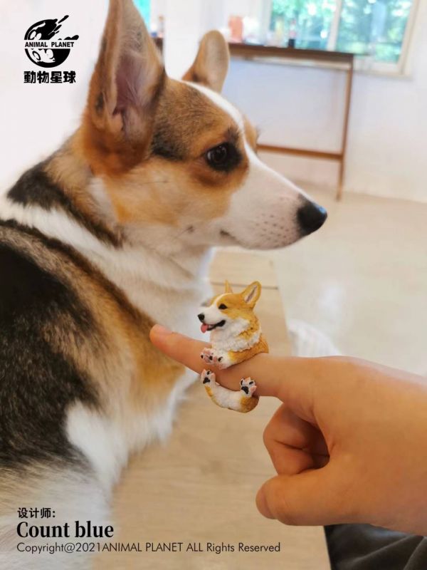 Count Blue Ring Dog