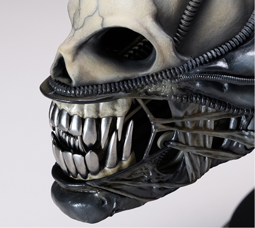 Alien / Big Chap: 1/2 Scale Head Close-up Shot Ver.