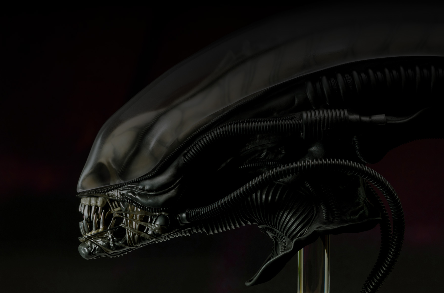 Alien / Big Chap: 1/2 Scale Head Close-up Shot Ver.