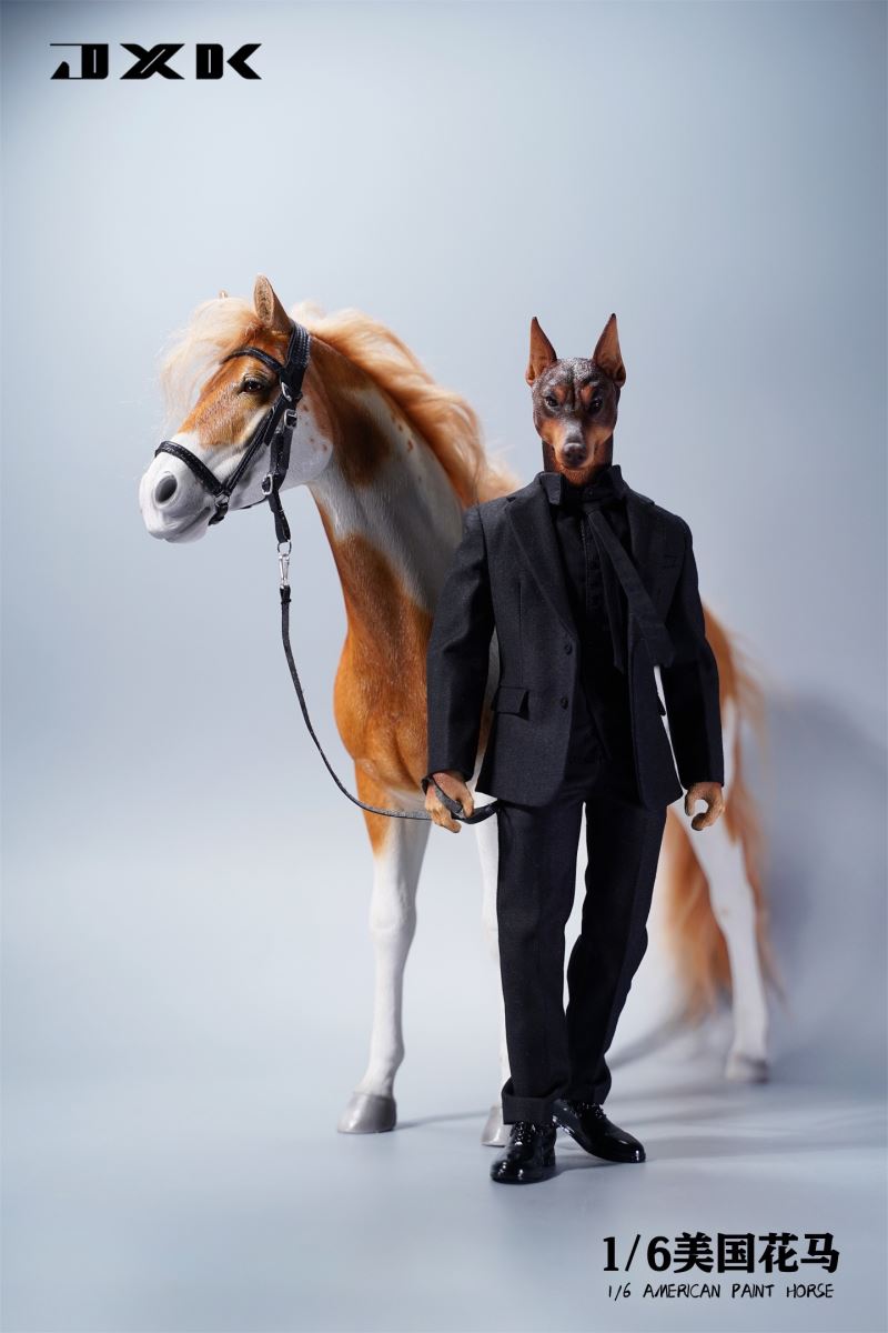American Pinto JXK094 Animal Model 1/6