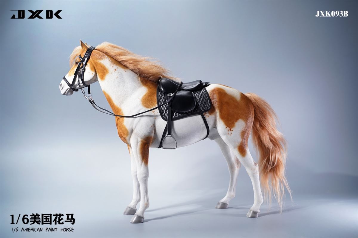 American Pinto JXK094 Animal Model 1/6