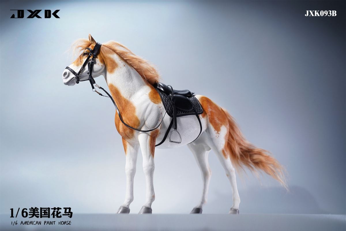 American Pinto JXK094 Animal Model 1/6