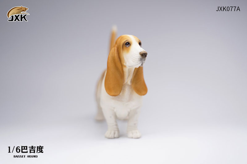 Basset Hound A 1/6