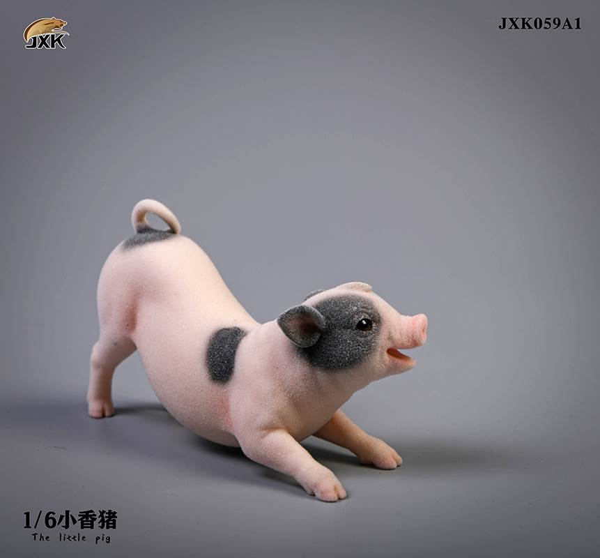 The little pig
