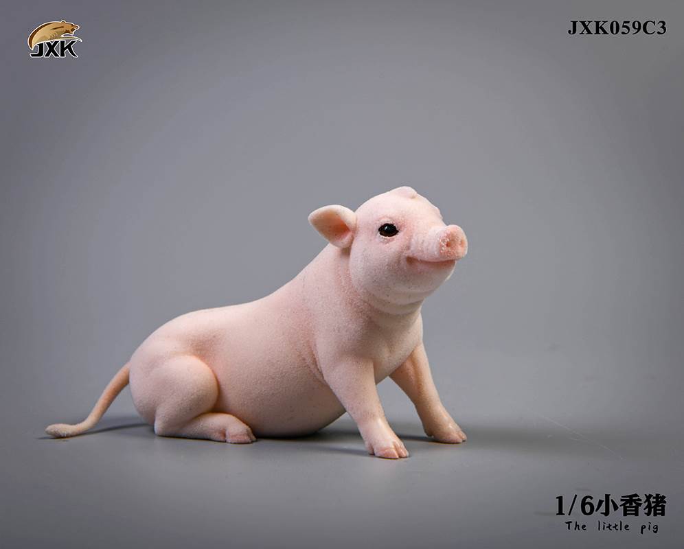 The little pig