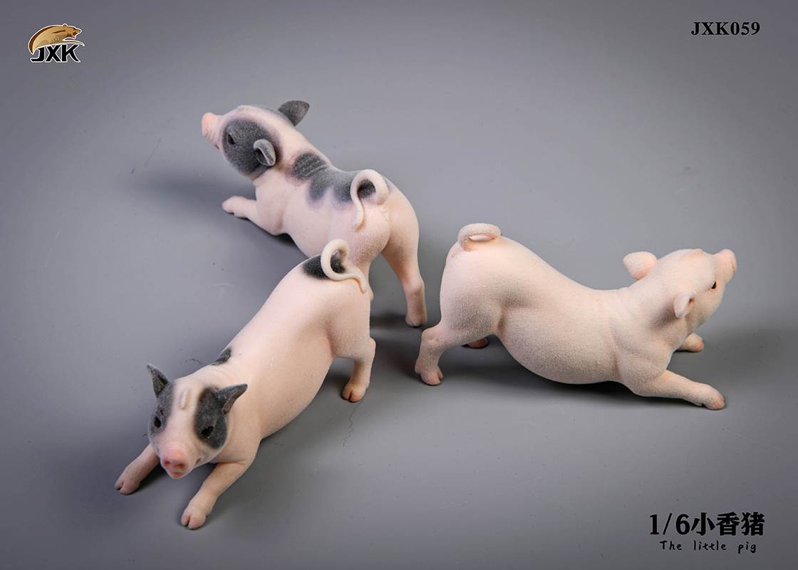 The little pig