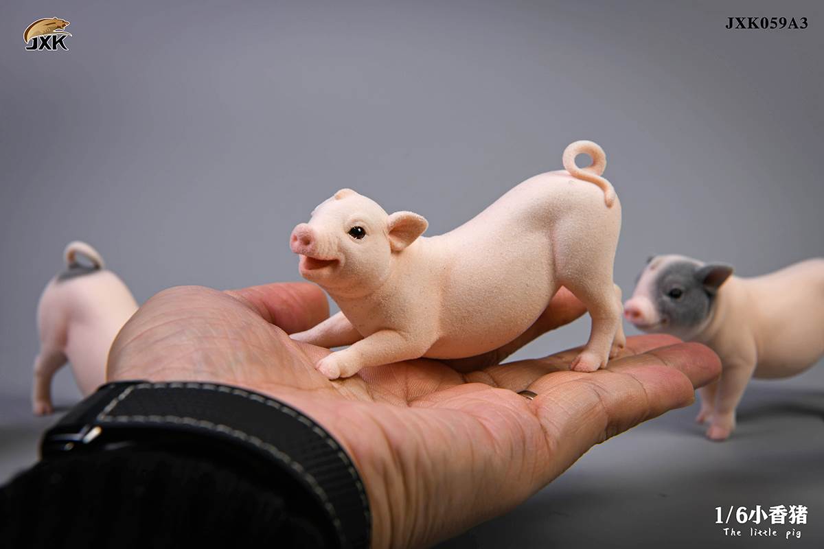 The little pig