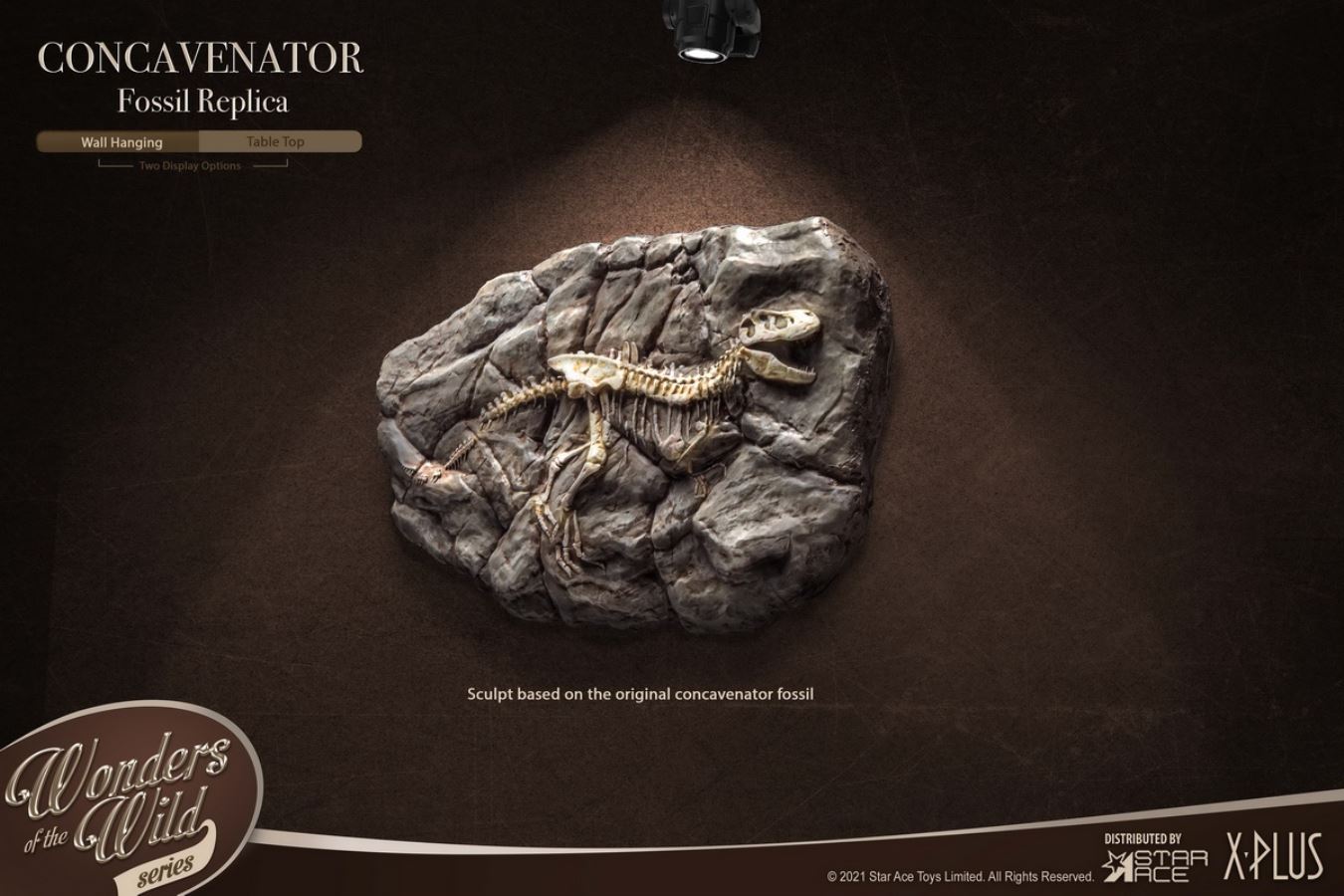 Kunkka Dragon Hunting and Dragon Fossil