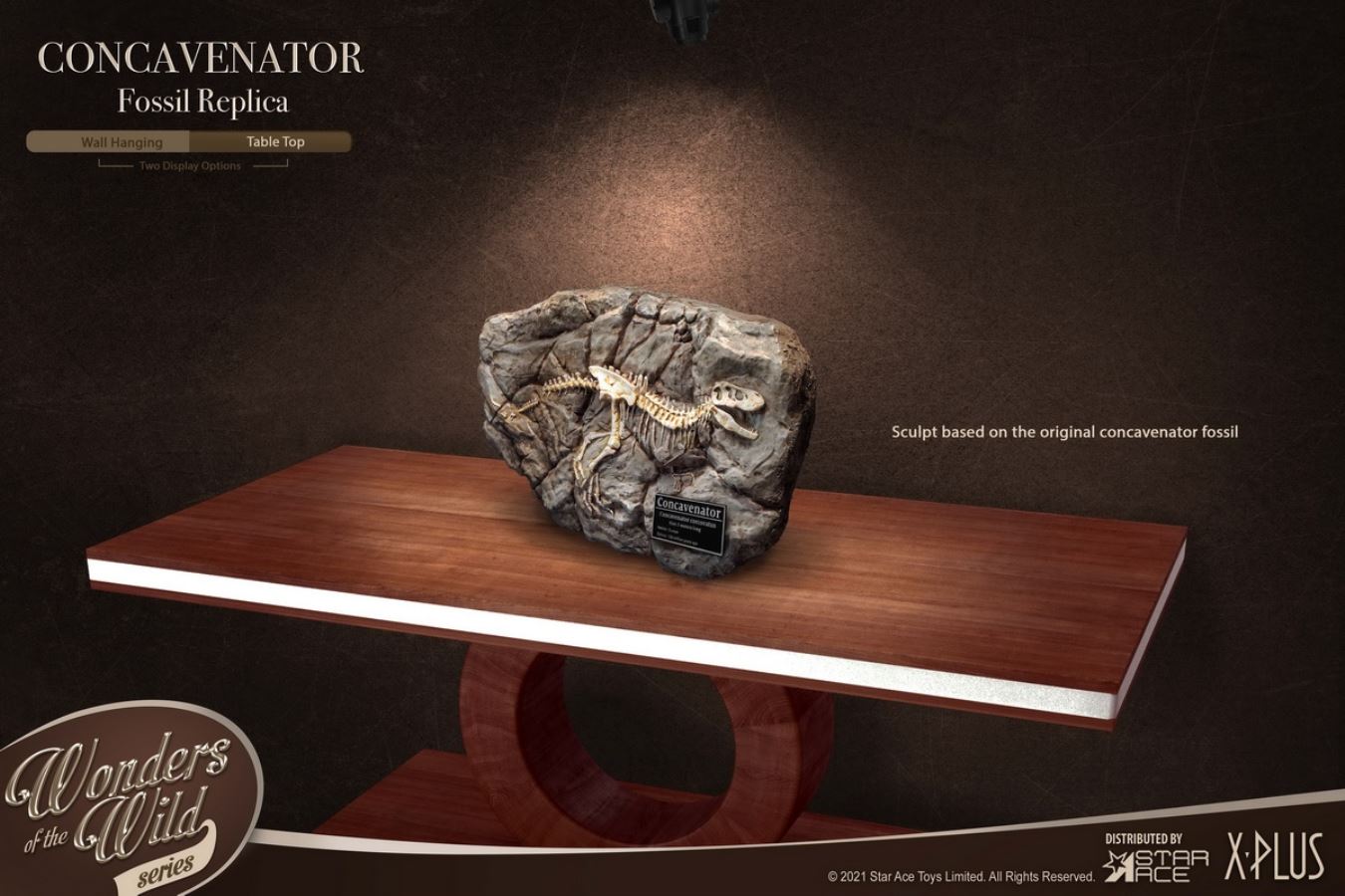 Kunkka Dragon Hunting and Dragon Fossil