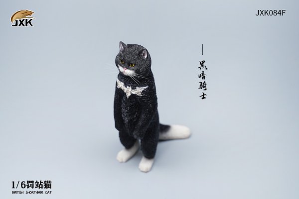 British Shorthair Cat (JXK084) 1/6