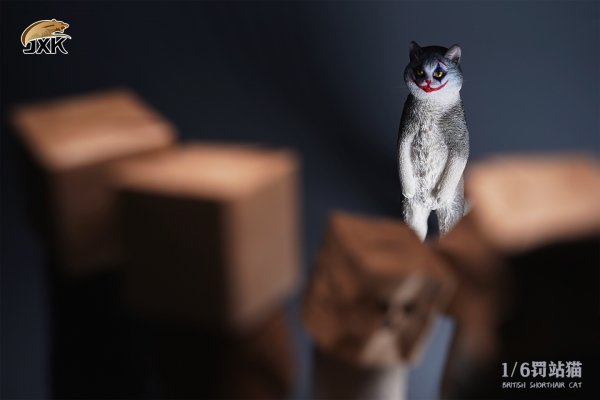 British Shorthair Cat (JXK084) 1/6