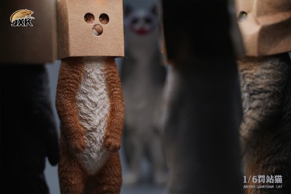 British Shorthair Cat (JXK084) 1/6