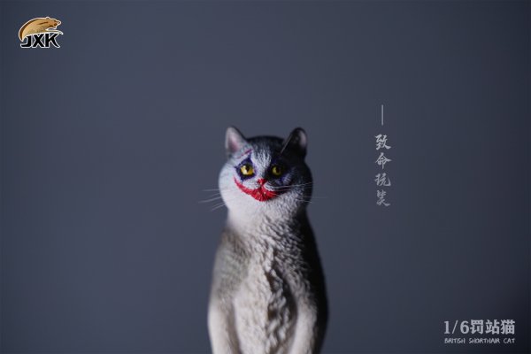 British Shorthair Cat (JXK084) 1/6