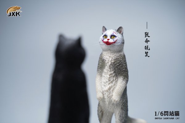 British Shorthair Cat (JXK084) 1/6