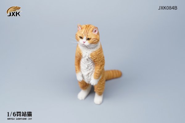 British Shorthair Cat (JXK084) 1/6
