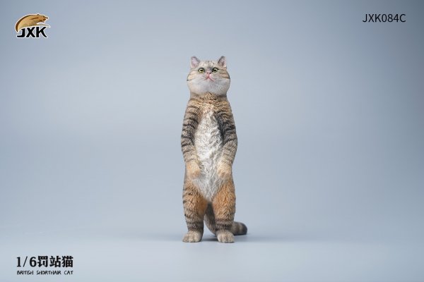 British Shorthair Cat (JXK084) 1/6