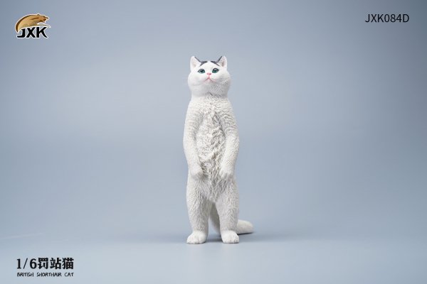 British Shorthair Cat (JXK084) 1/6