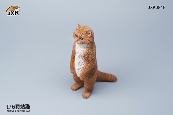British Shorthair Cat (JXK084) 1/6