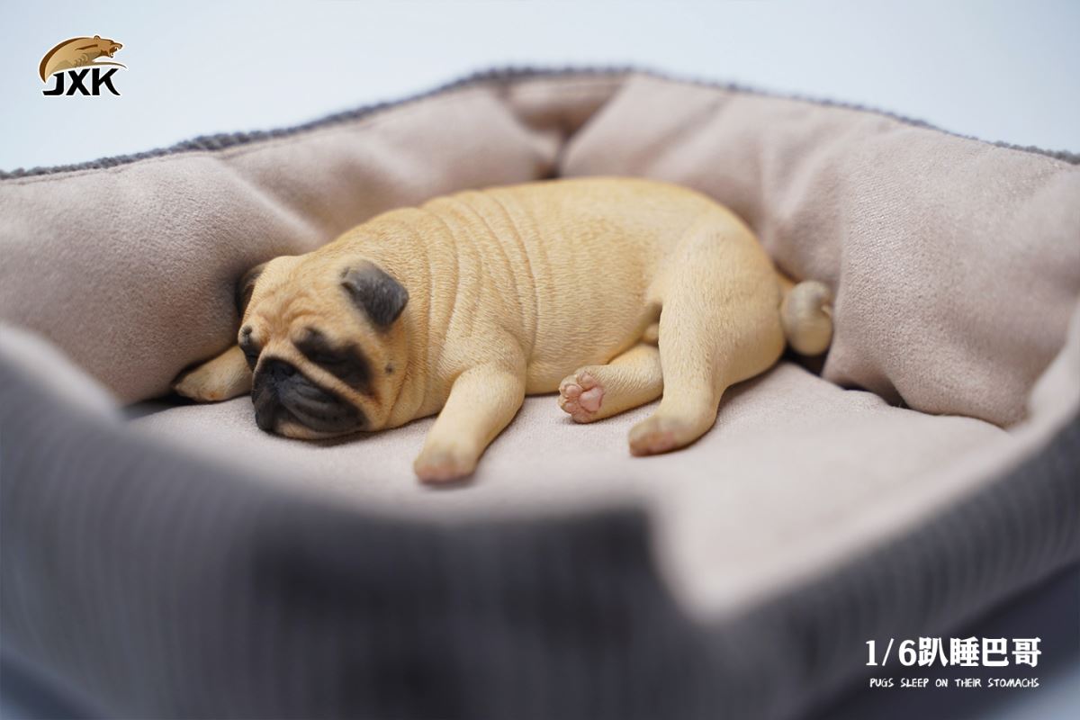 Sleeping Pug (JXK085) 1/6