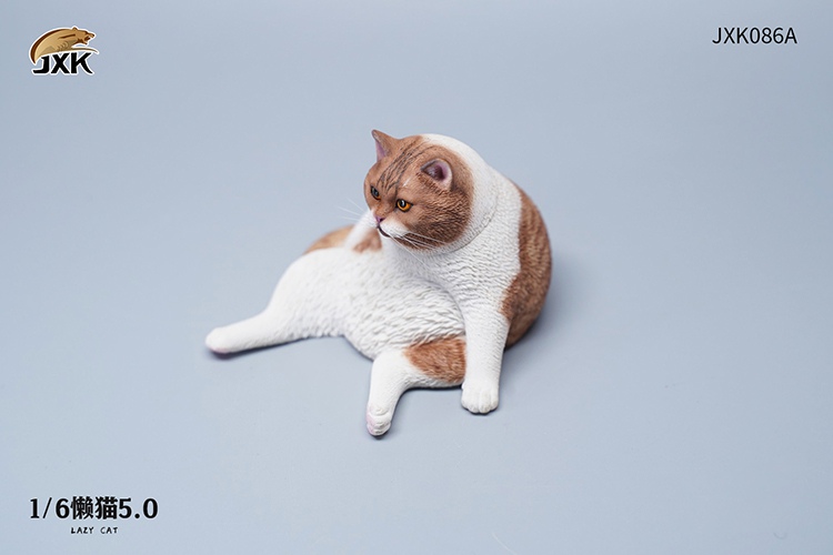 Lazy Cat 5.0 1/6