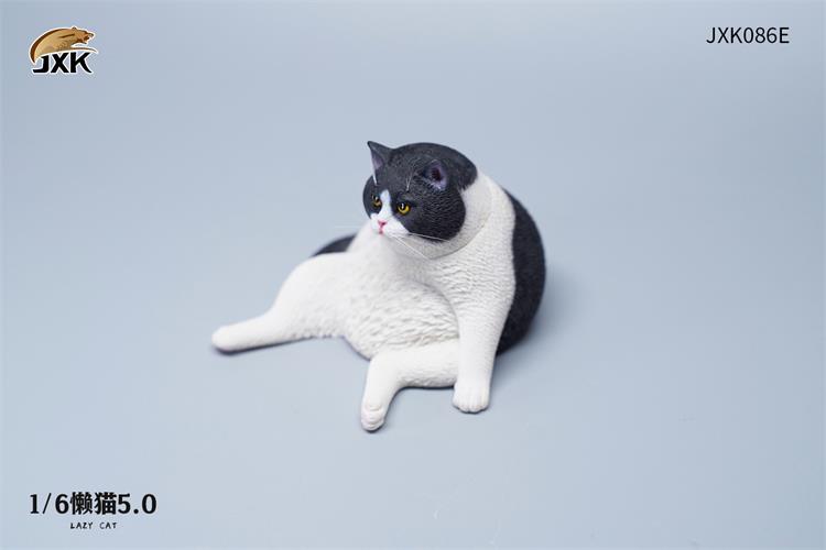 Lazy Cat 5.0 1/6