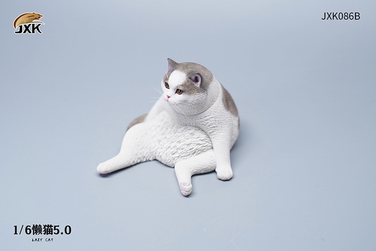 Lazy Cat 5.0 1/6