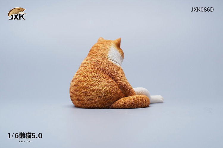 Lazy Cat 5.0 1/6