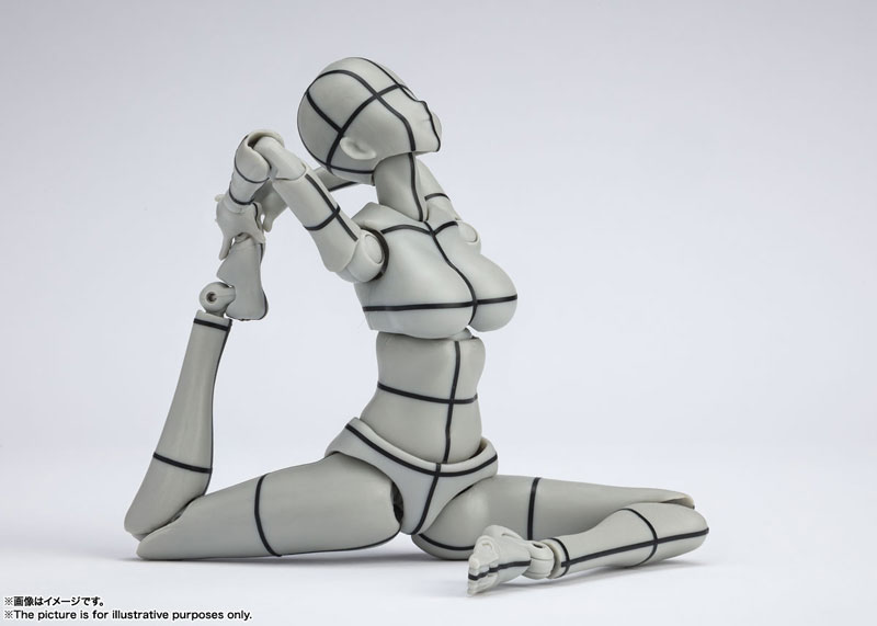 S.H.Figuarts Body-chan -Kentaro Yabuki- Wire frame (Gray Color Ver.)