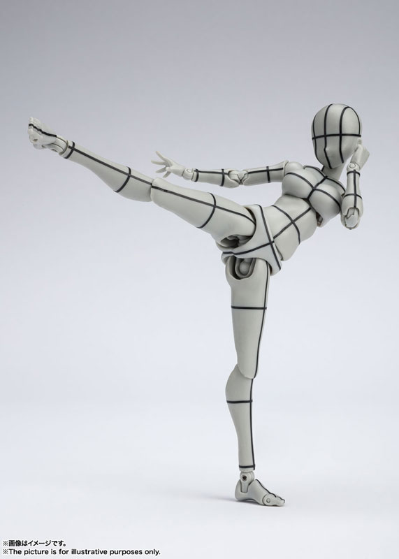 S.H.Figuarts Body-chan -Kentaro Yabuki- Wire frame (Gray Color Ver.)
