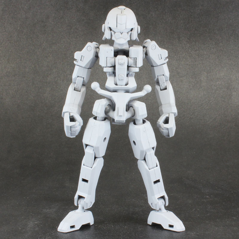 Pla Act Option Series 06: Frame Unit