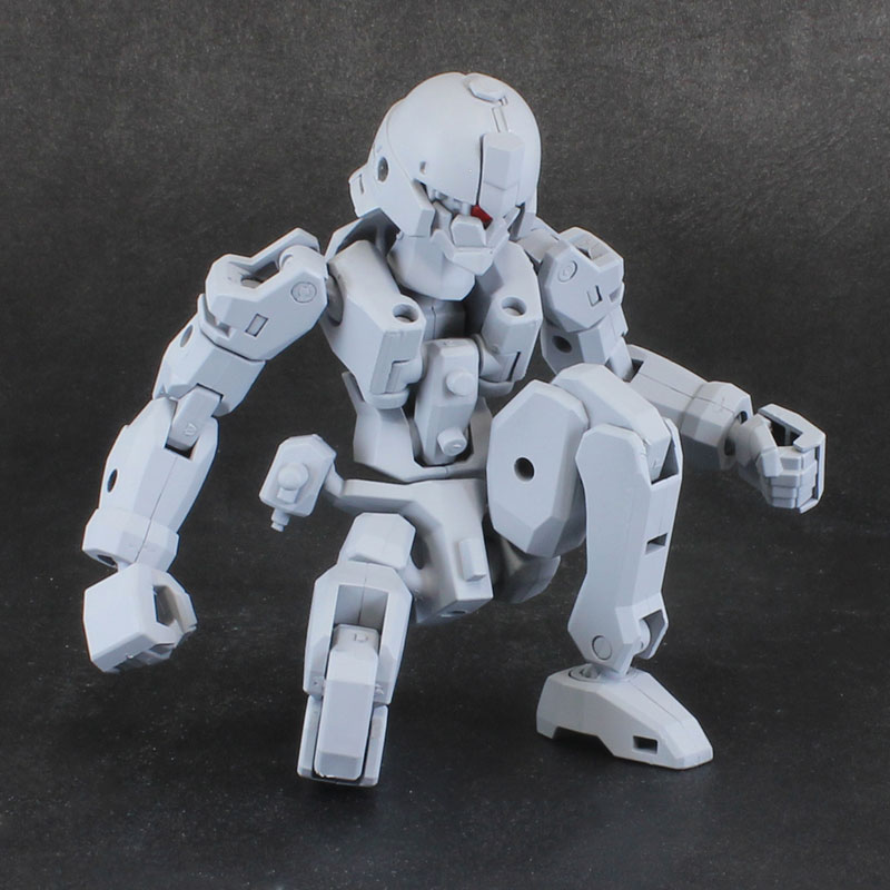 Pla Act Option Series 06: Frame Unit