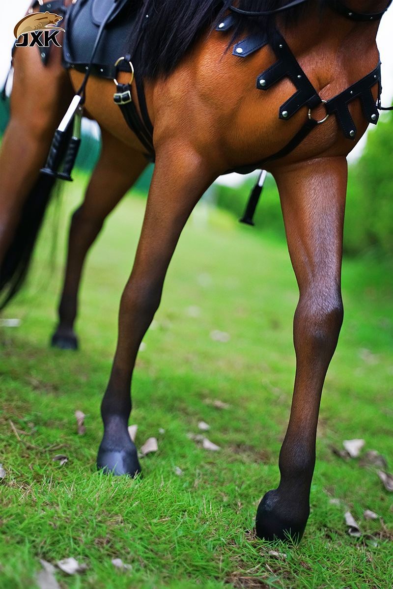 Ahaljie Golden Horse 1/3