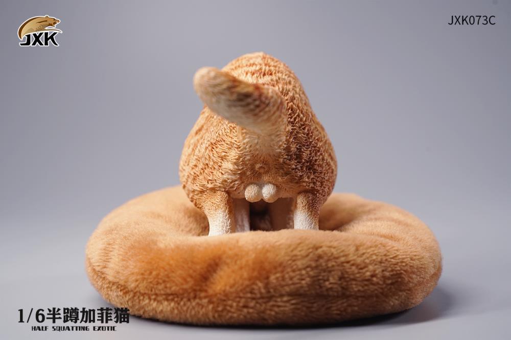 JXK073ABCD Half squatting ExoticShorthair 1/6