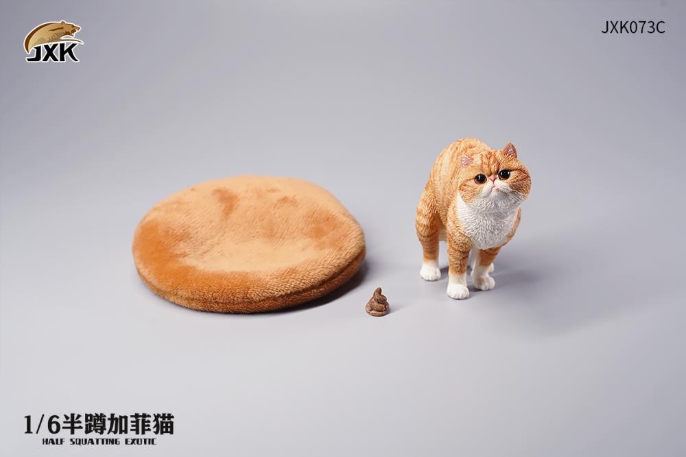 JXK073ABCD Half squatting ExoticShorthair 1/6