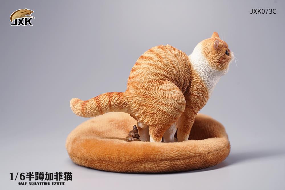 JXK073ABCD Half squatting ExoticShorthair 1/6