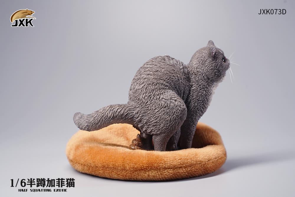 JXK073ABCD Half squatting ExoticShorthair 1/6