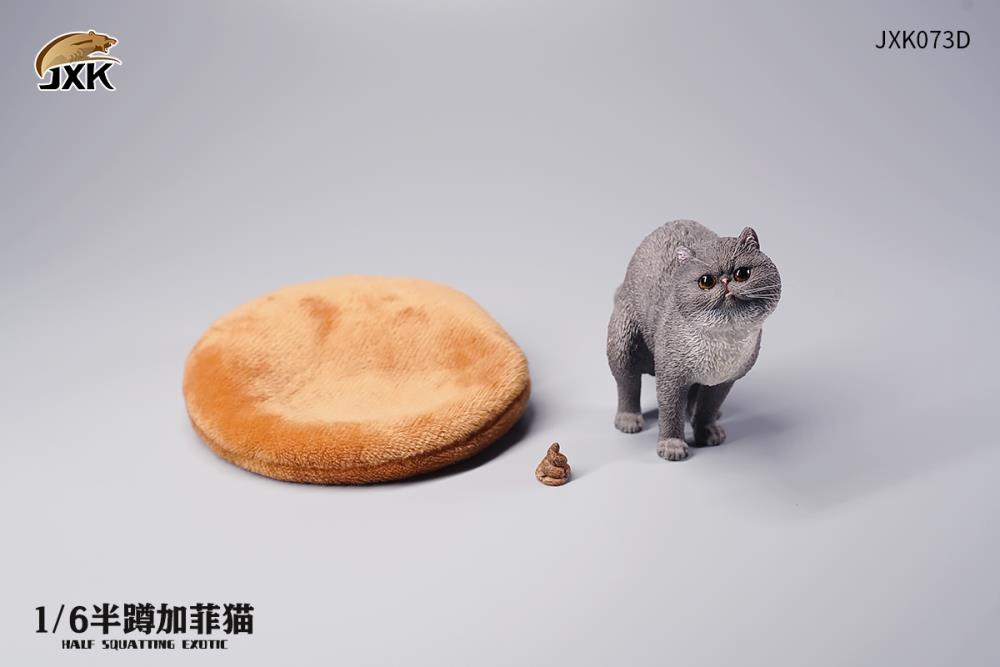 JXK073ABCD Half squatting ExoticShorthair 1/6