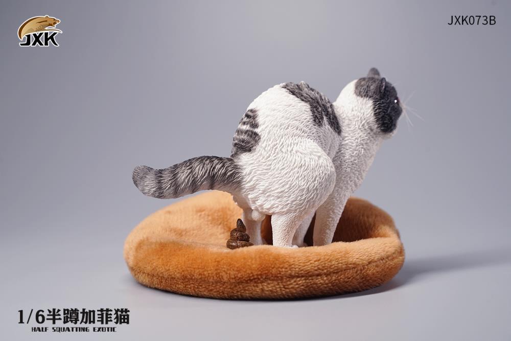 JXK073ABCD Half squatting ExoticShorthair 1/6